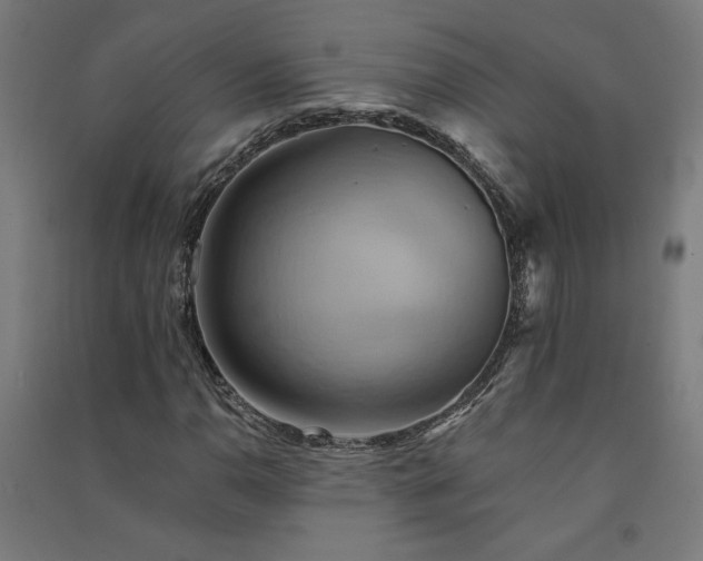 X0000091581110200708201201