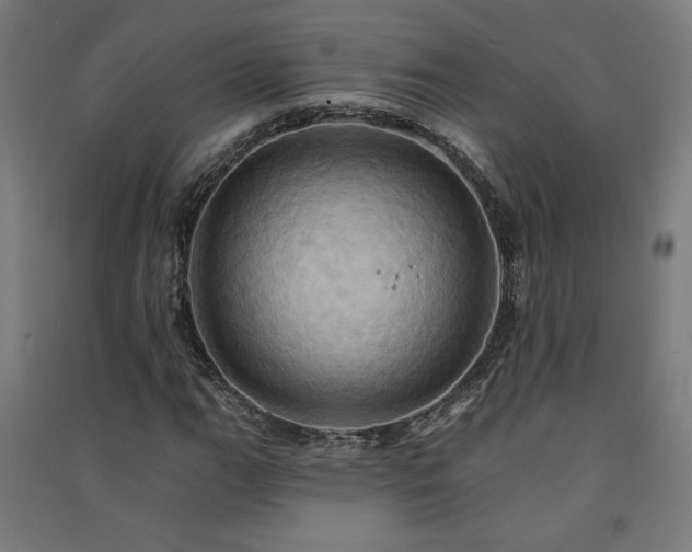 X0000091581111200708201201