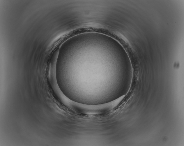 X0000091581112200708201201