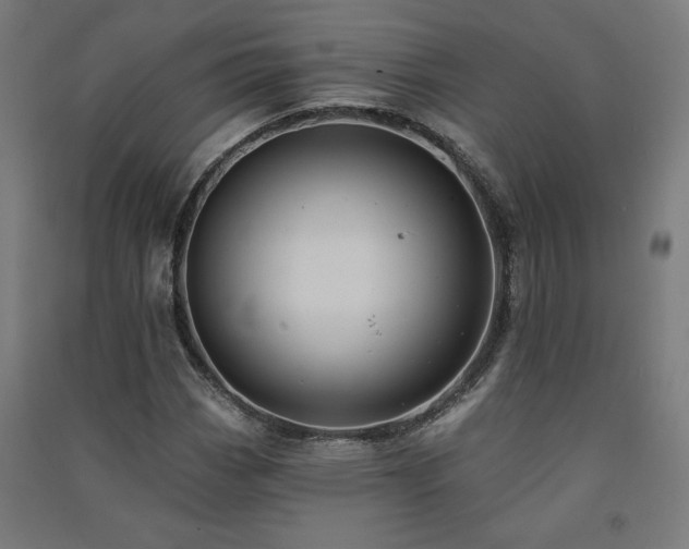 X0000091581113200708201201