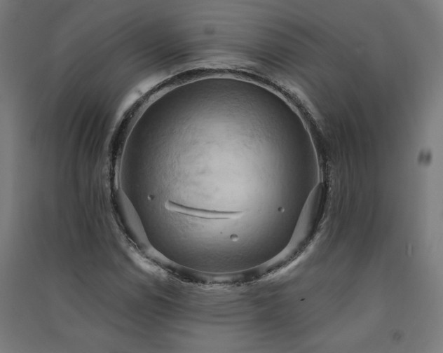 X0000091581114200708201201
