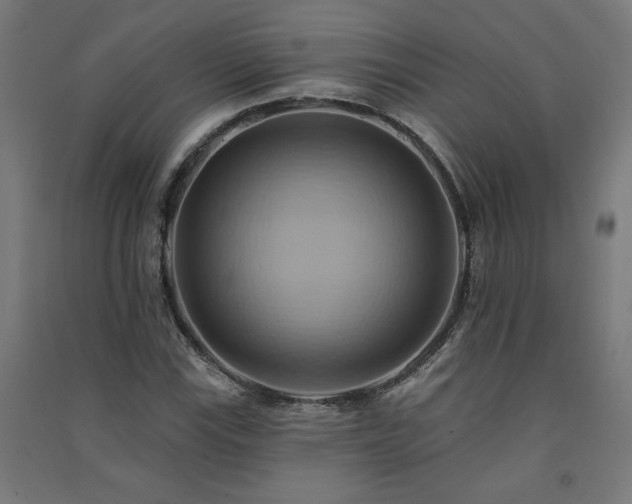 X0000091581115200708201201
