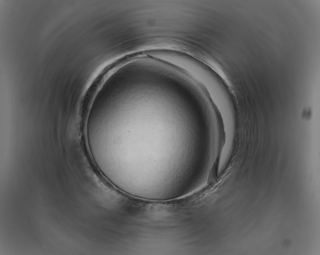 X0000091581116200708201201