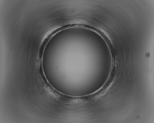 X0000091581117200708201201