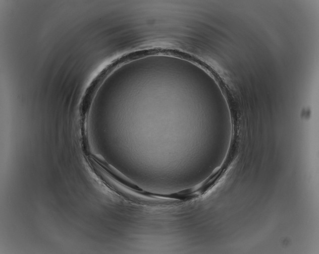 X0000091581118200708201201