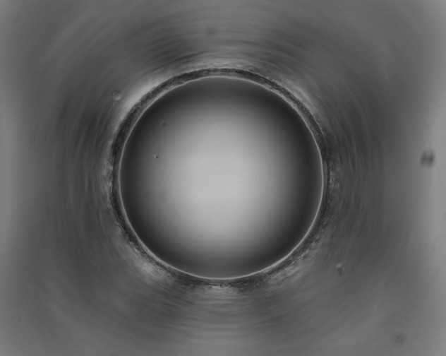 X0000091581119200708201201
