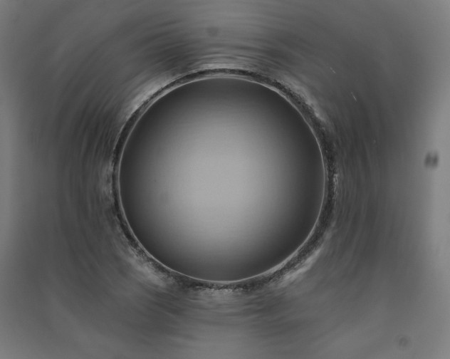 X0000091581121200708201201