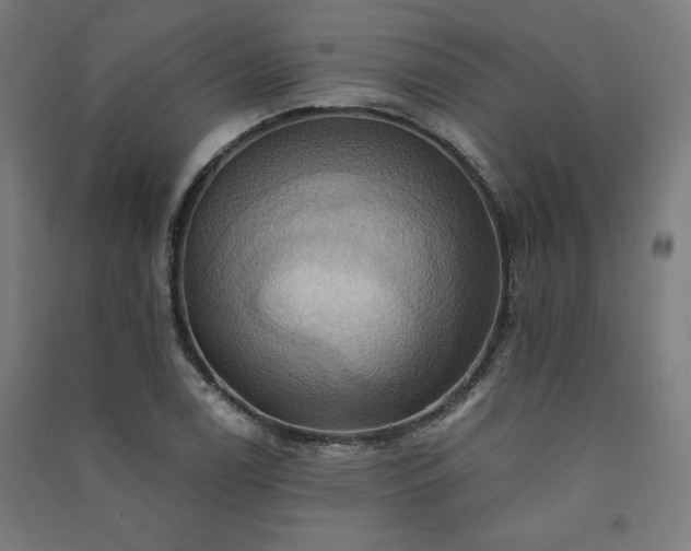 X0000091581122200708201201