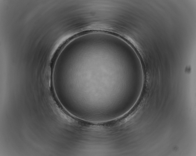 X0000091581123200708201202