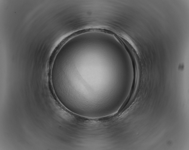 X0000091581124200708201202