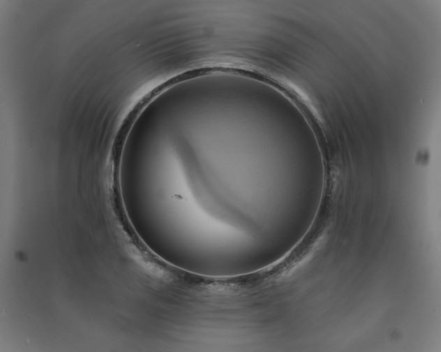X0000091581125200708201202