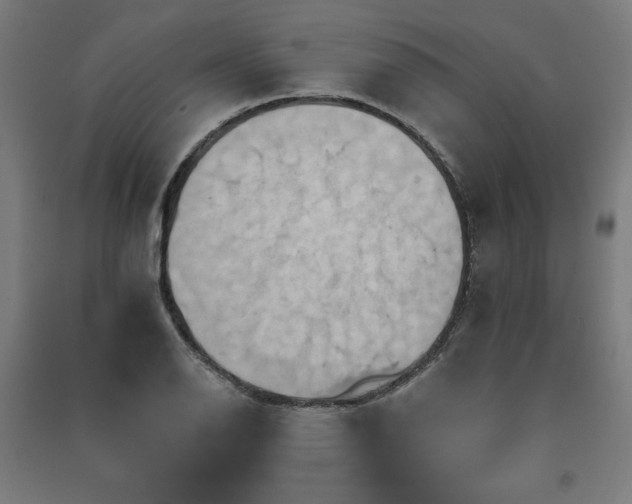 X0000091581126200708201202