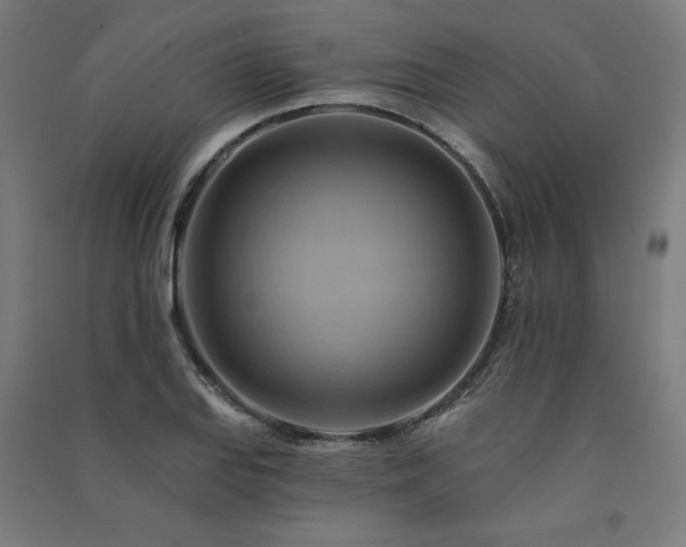 X0000091581127200708201202