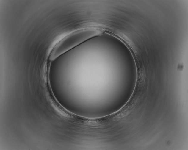 X0000091581128200708201202