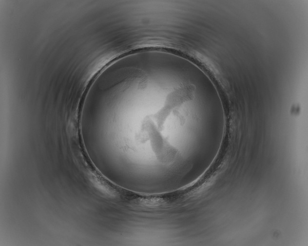 X0000091581129200708201202