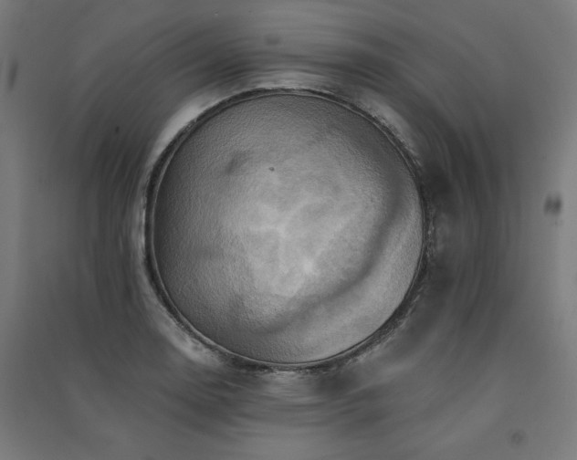 X0000091581130200708201202