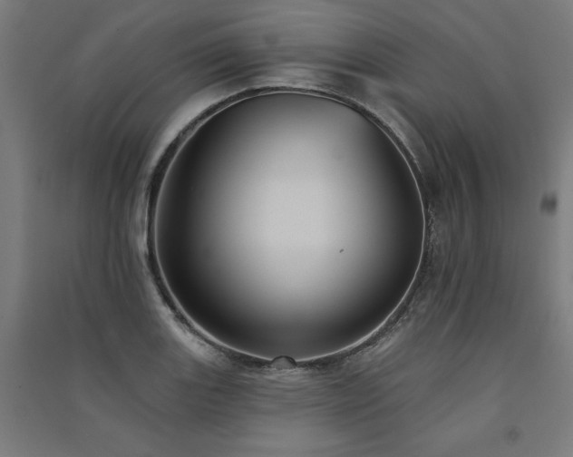 X0000091581131200708201202