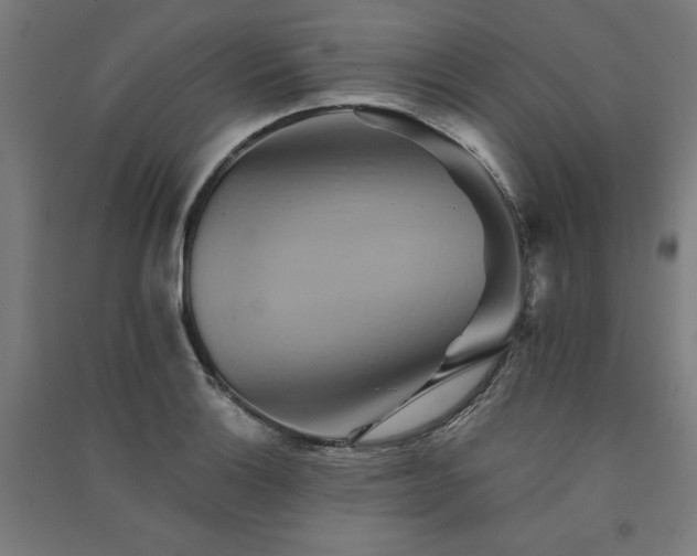 X0000091581132200708201202