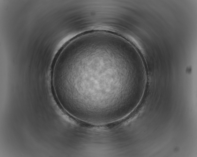 X0000091581133200708201202