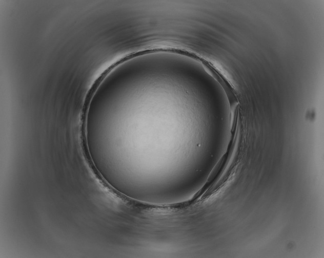 X0000091581134200708201202