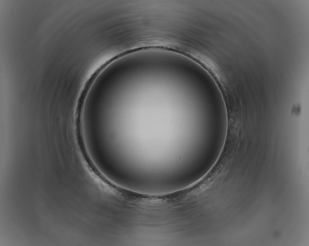 X0000091581135200708201202
