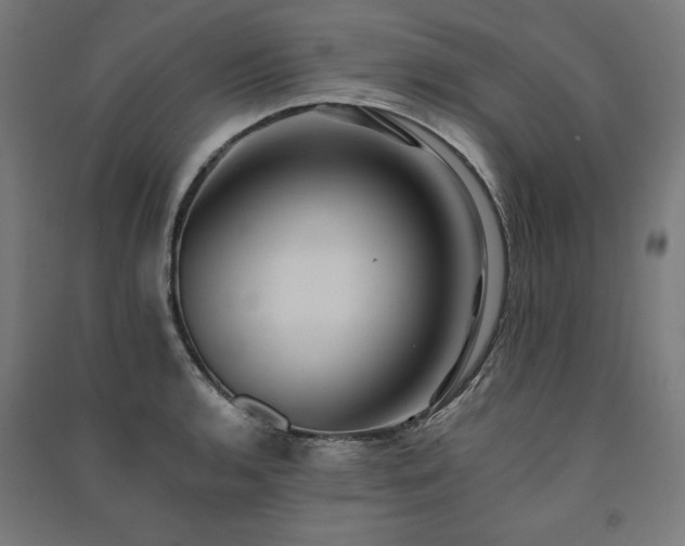 X0000091581136200708201202
