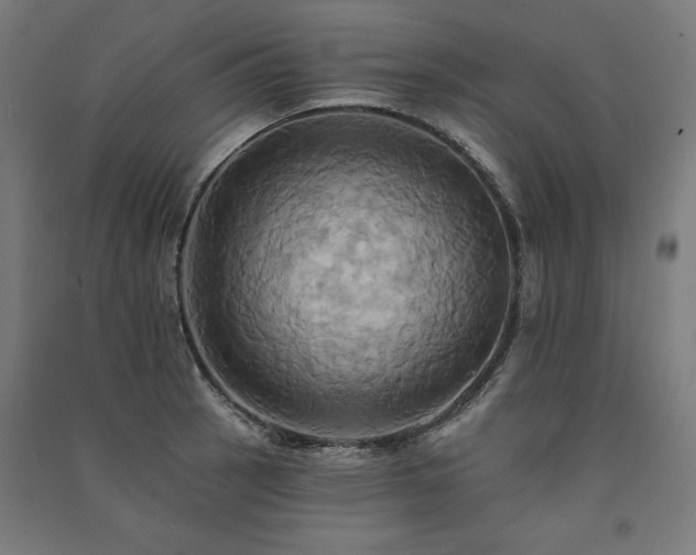 X0000091581137200708201202