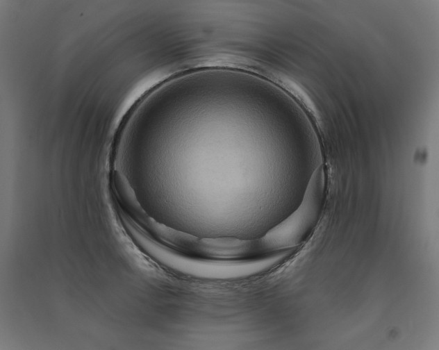 X0000091581138200708201202