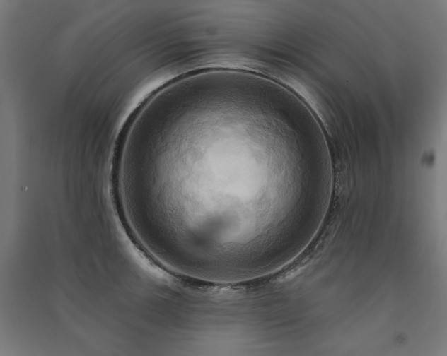 X0000091581139200708201202