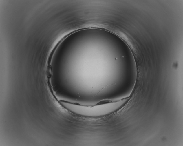 X0000091581140200708201202