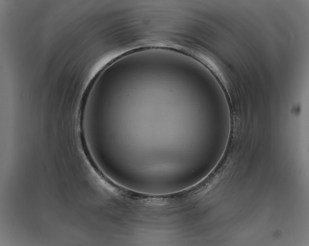 X0000091581141200708201202