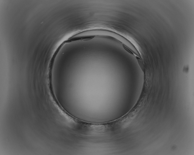 X0000091581142200708201202