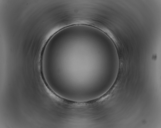 X0000091581143200708201202