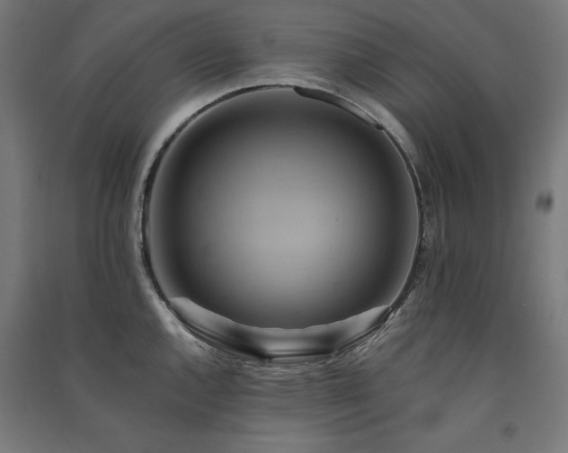 X0000091581144200708201202