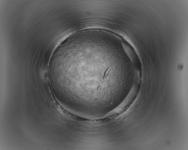 X0000091581145200708201202