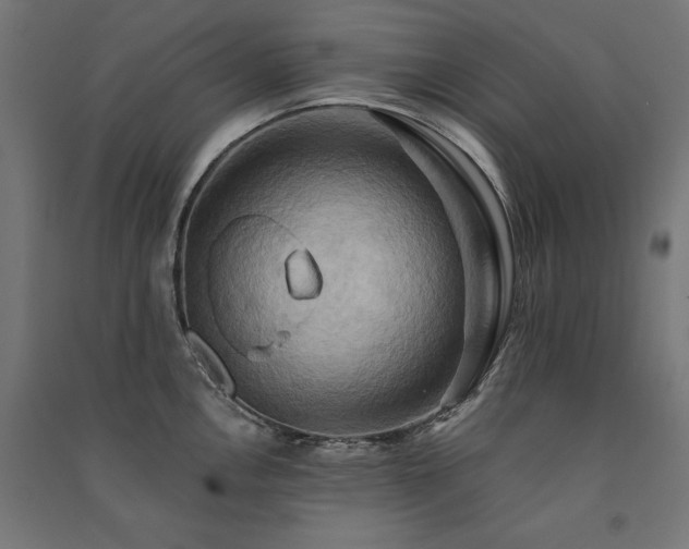 X0000091581146200708201202