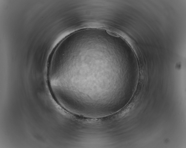 X0000091581147200708201202