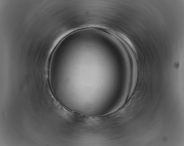 X0000091581148200708201202