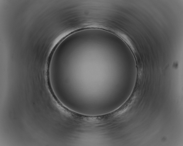 X0000091581149200708201202