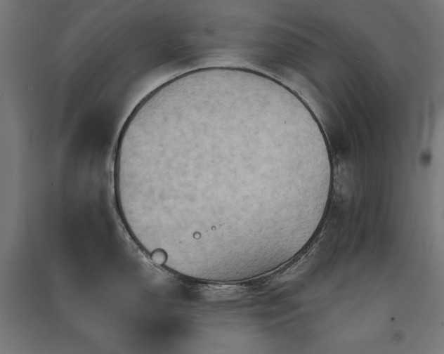 X0000091581150200708201202
