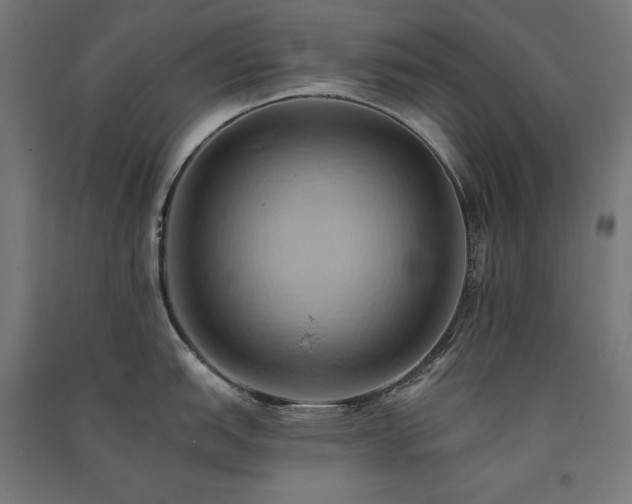 X0000091581151200708201202