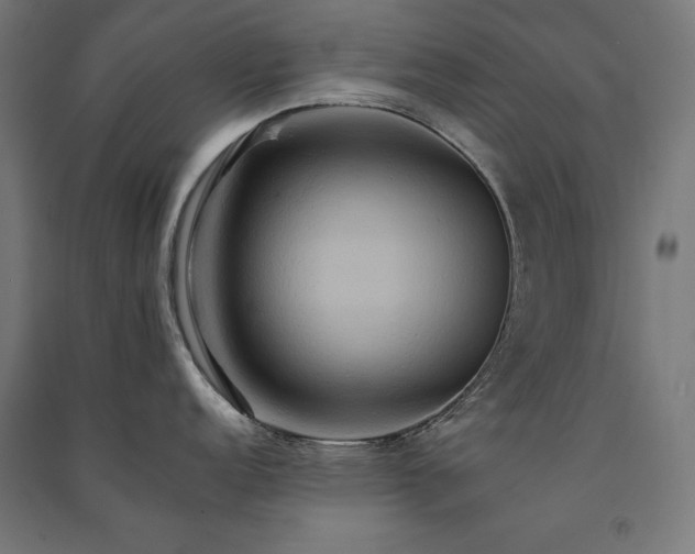 X0000091581152200708201202