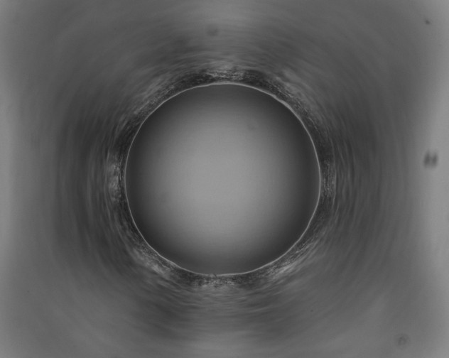 X0000091581154200708201201