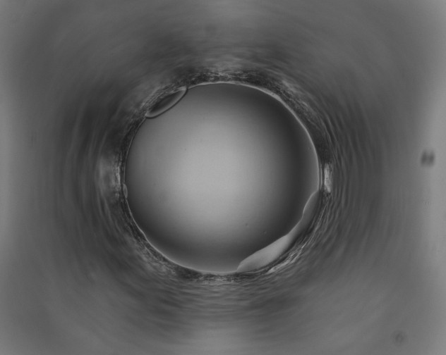 X0000091581155200708201201