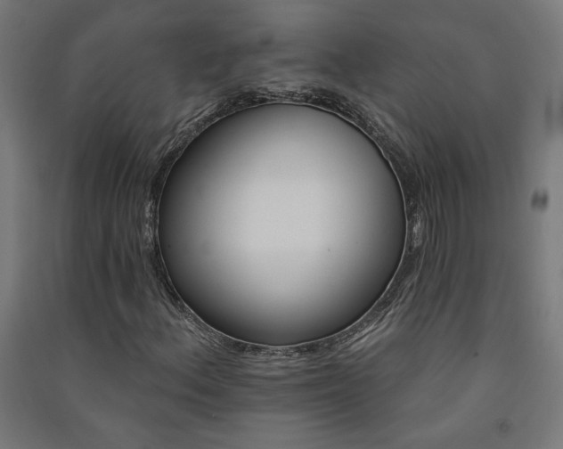 X0000091581156200708201201