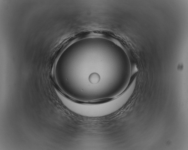 X0000091581157200708201201