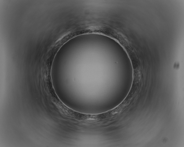 X0000091581158200708201201