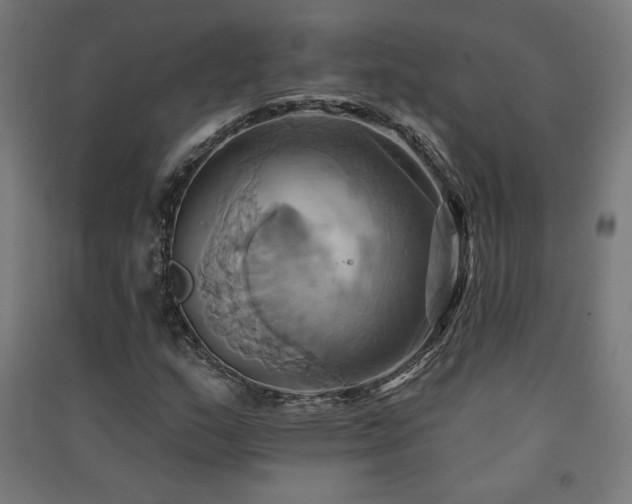 X0000091581159200708201201