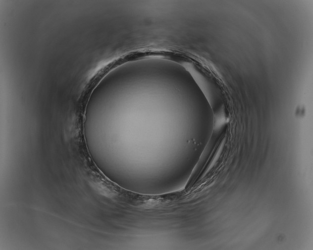 X0000091581160200708201201