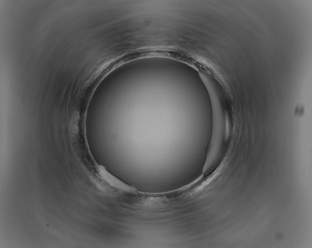 X0000091581161200708201201